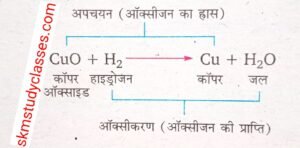 Class 10 Science Chapter 1