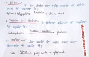NCERT Class 10 Science Chapter 6 life Process in Hind